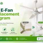 PM E-Fan Replacement Program